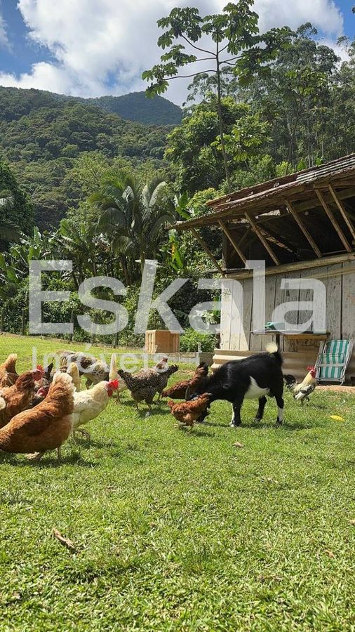 Chácara com 30 mil m² Schroeder