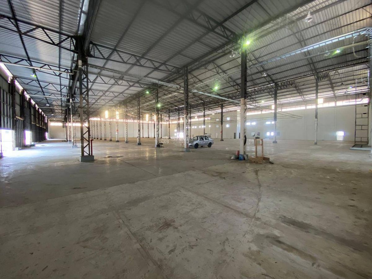 Depósito-Galpão, 11500 m² - Foto 6