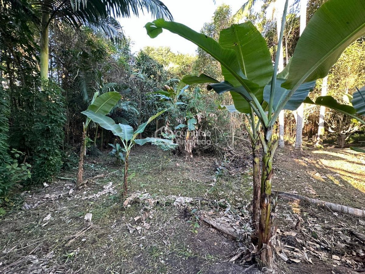 Terreno Jordão - Lote/Terreno em Governador Celso Ramos - à venda - Quinta do Arvoredo Imóveis