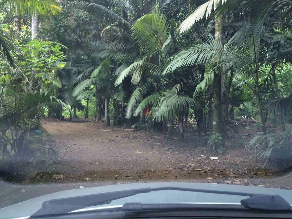 Chácara à Venda em Guaramirim com 7 Lagoas