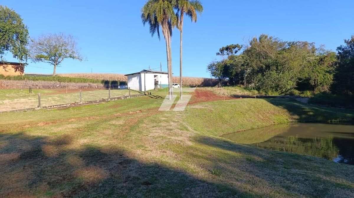 Sítio, 3 hectares - Foto 15