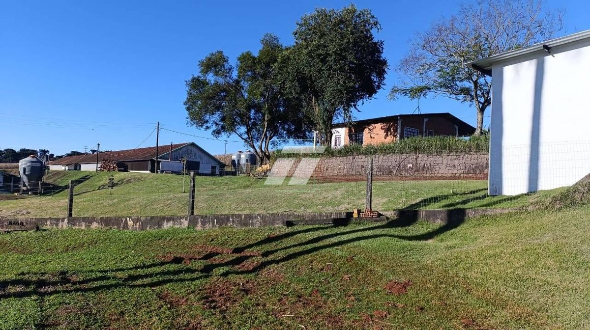 Sítio, 3 hectares - Foto 4