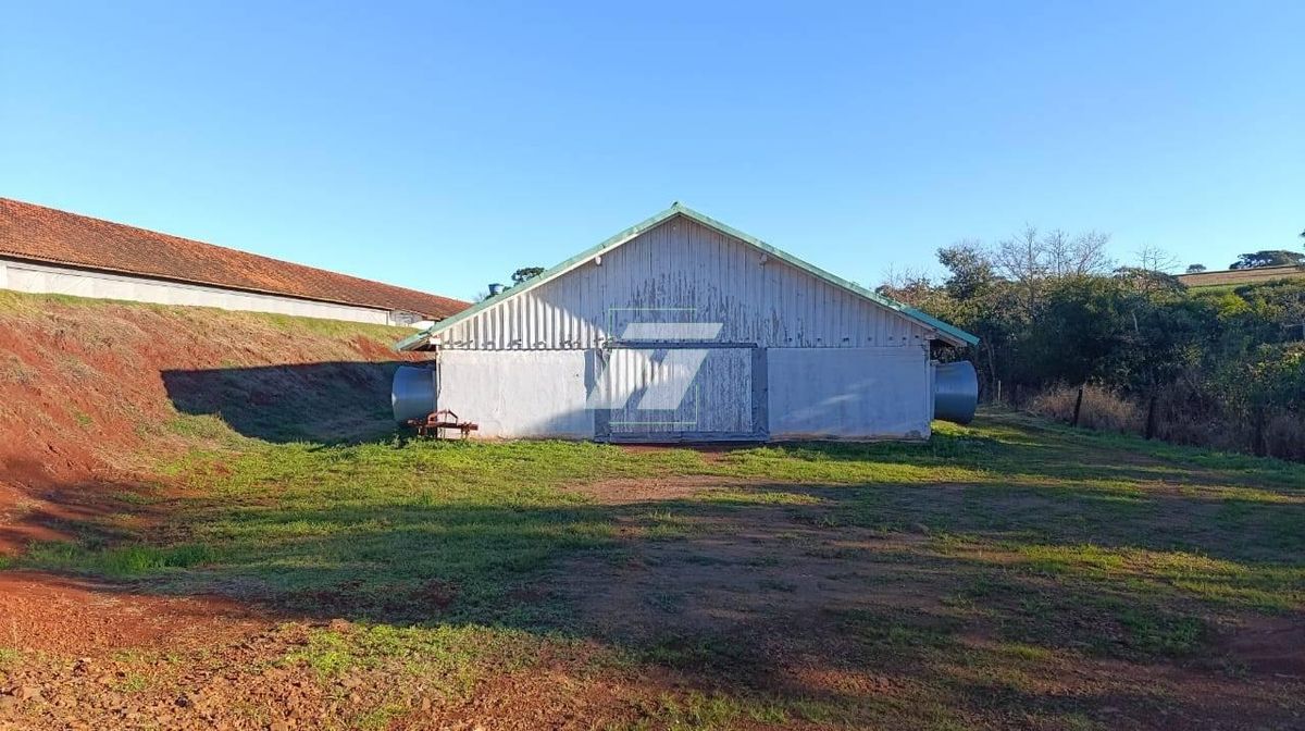 Sítio, 3 hectares - Foto 12