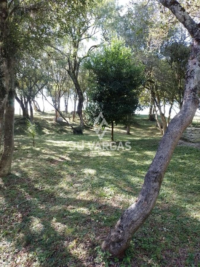 Sítio, 7 hectares - Foto 5
