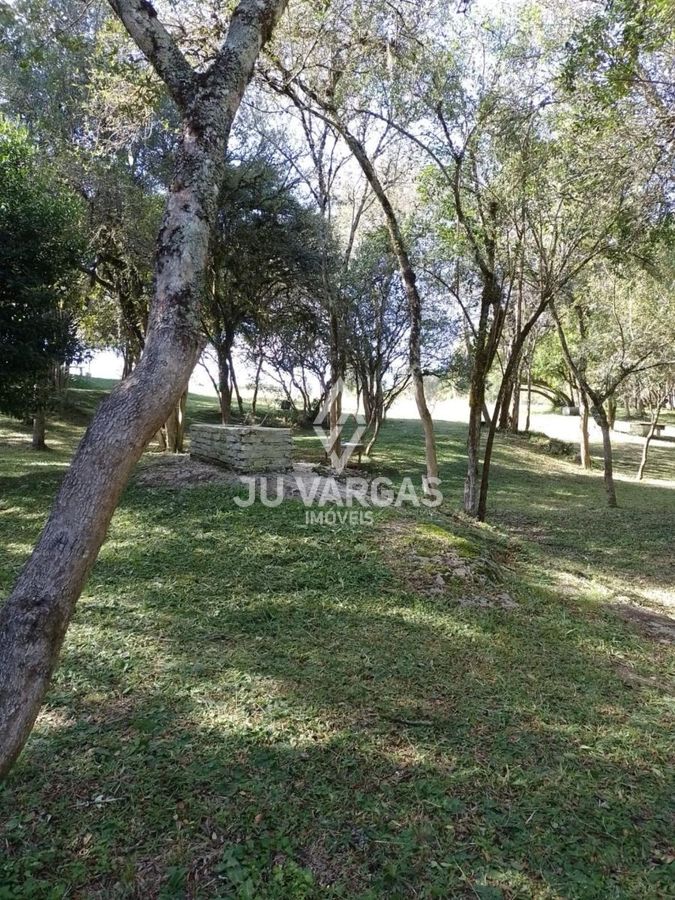 Sítio, 7 hectares - Foto 7