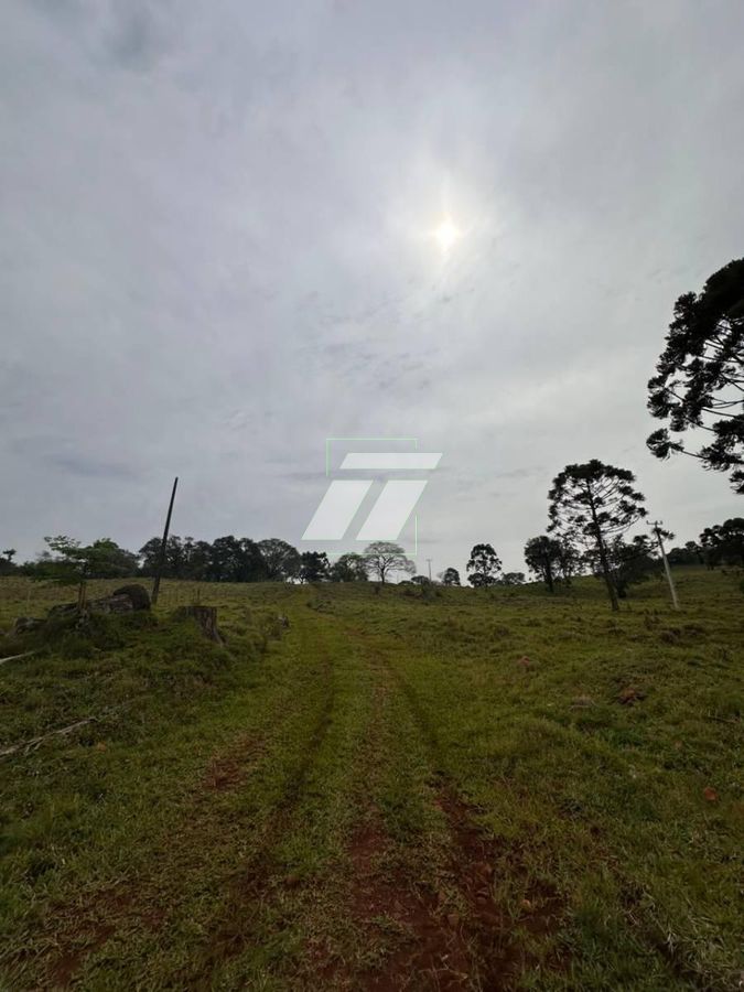 Sítio, 678 m² - Foto 11