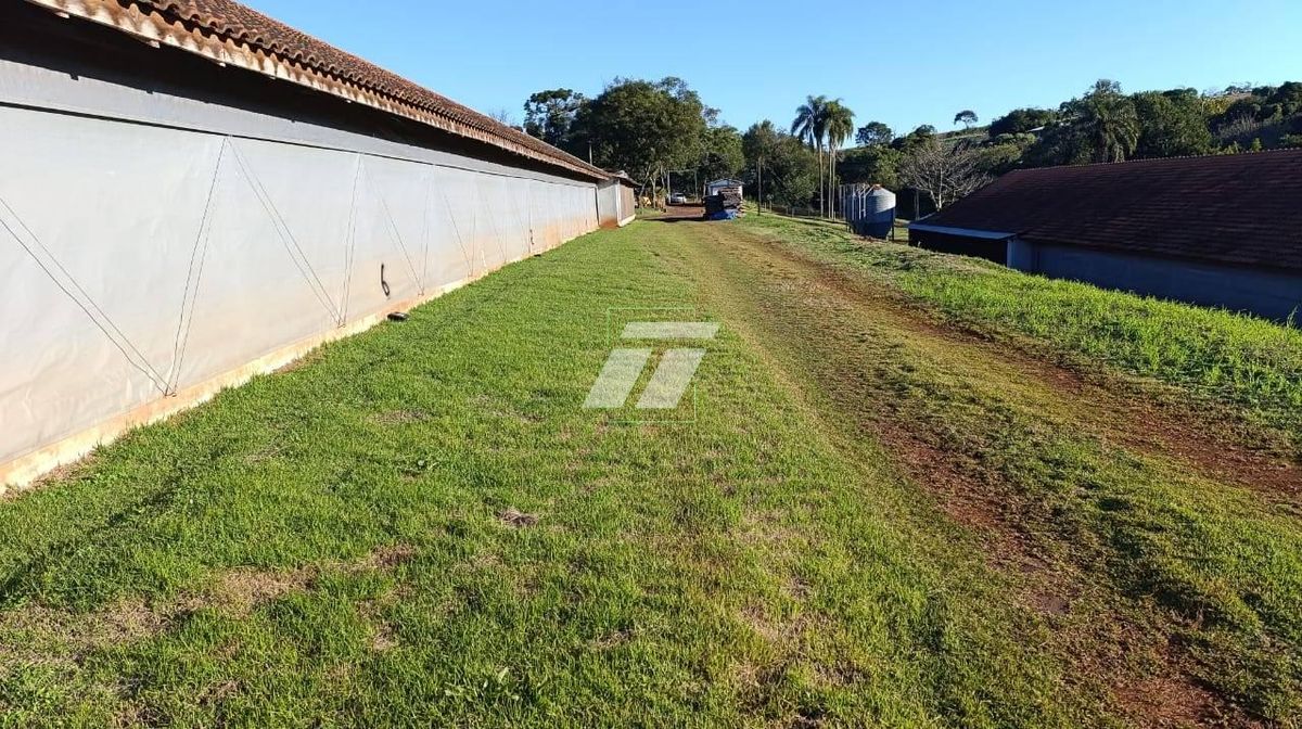 Sítio, 3 hectares - Foto 8