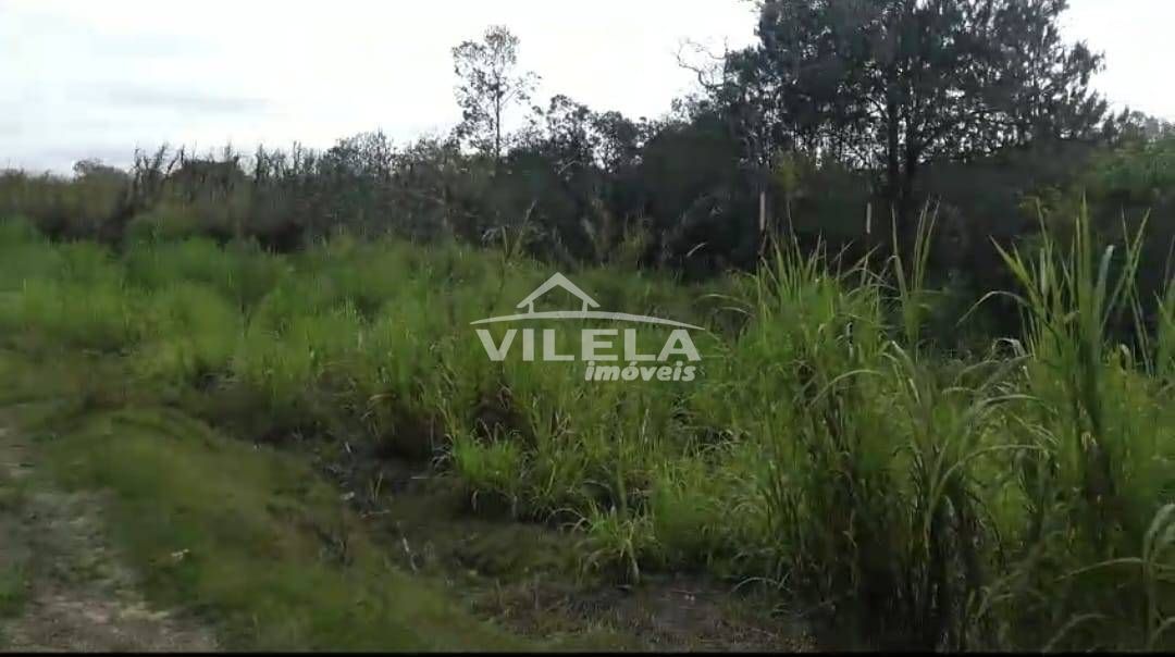 Sítio à Venda - Salesópolis