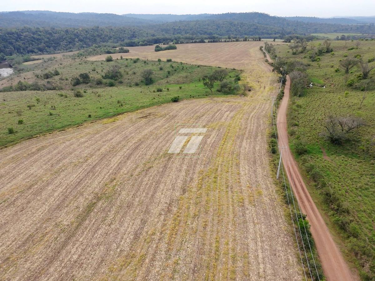 Sítio, 157 hectares - Foto 3