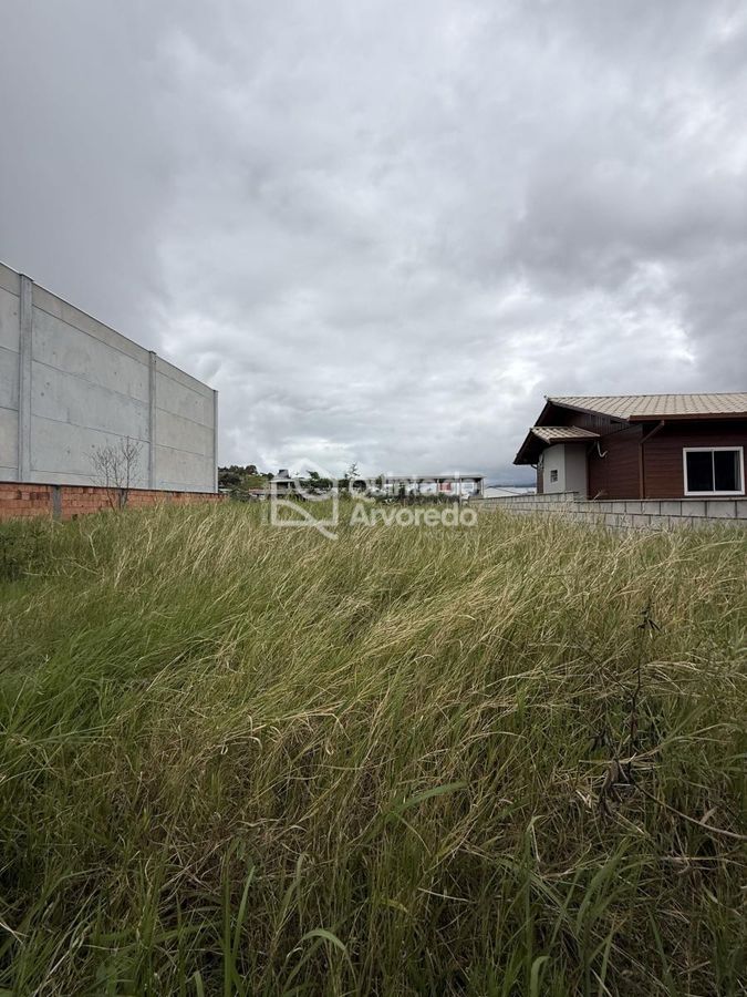 Terreno Areias do Meio - Lote/Terreno em Areias do meio, Governador Celso Ramos - à venda - Quinta do Arvoredo Imóveis