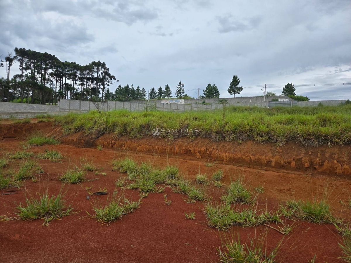 Terreno, 10000 m² - Foto 15