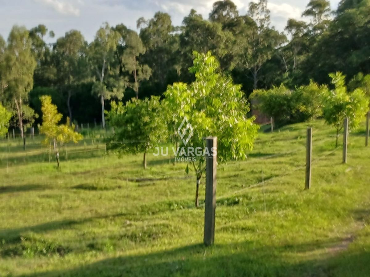 Sítio, 5 quartos, 12 hectares - Foto 4