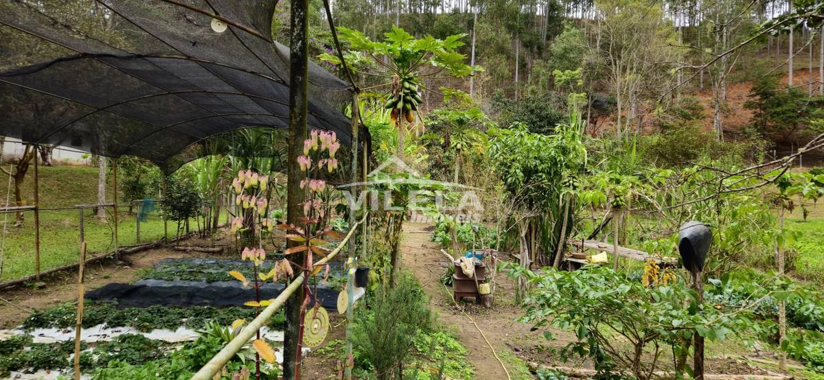 Chácara para venda em natividade da serra