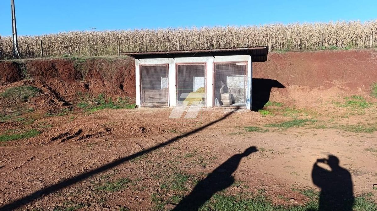 Sítio, 3 hectares - Foto 14