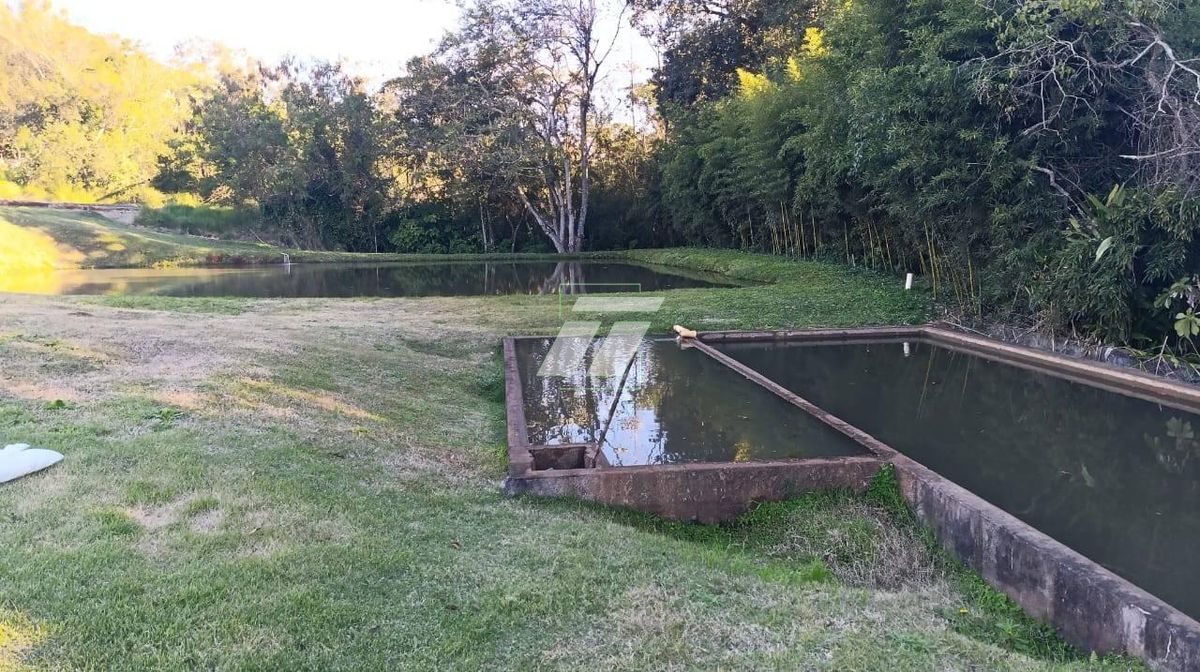 Sítio, 3 hectares - Foto 20