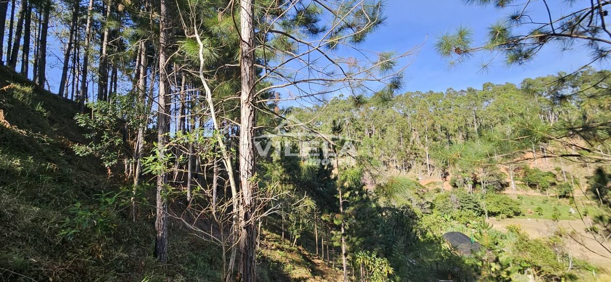 Chácara para venda em natividade da serra