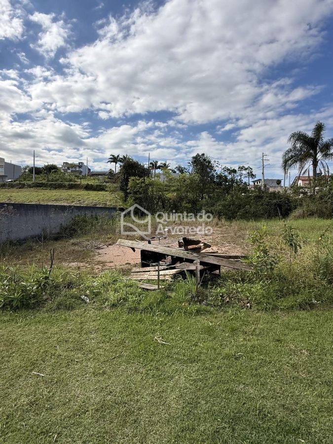 Terreno Areias do Meio Governador Celso Ramos - Lote/Terreno em Governador Celso Ramos - à venda - Quinta do Arvoredo Imóveis
