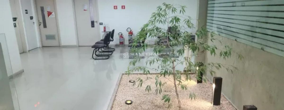 Loja-Salão, 6500 m² - Foto 5