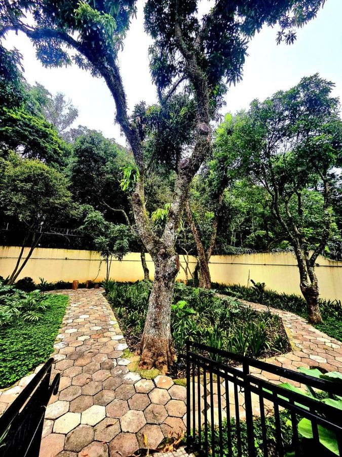 Apartamento, 2 quartos, 37 m² - Foto 6