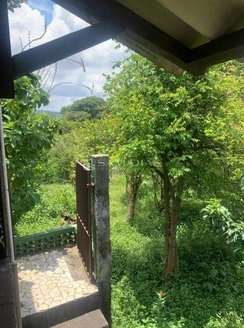 Terreno, 1250 m² - Foto 5