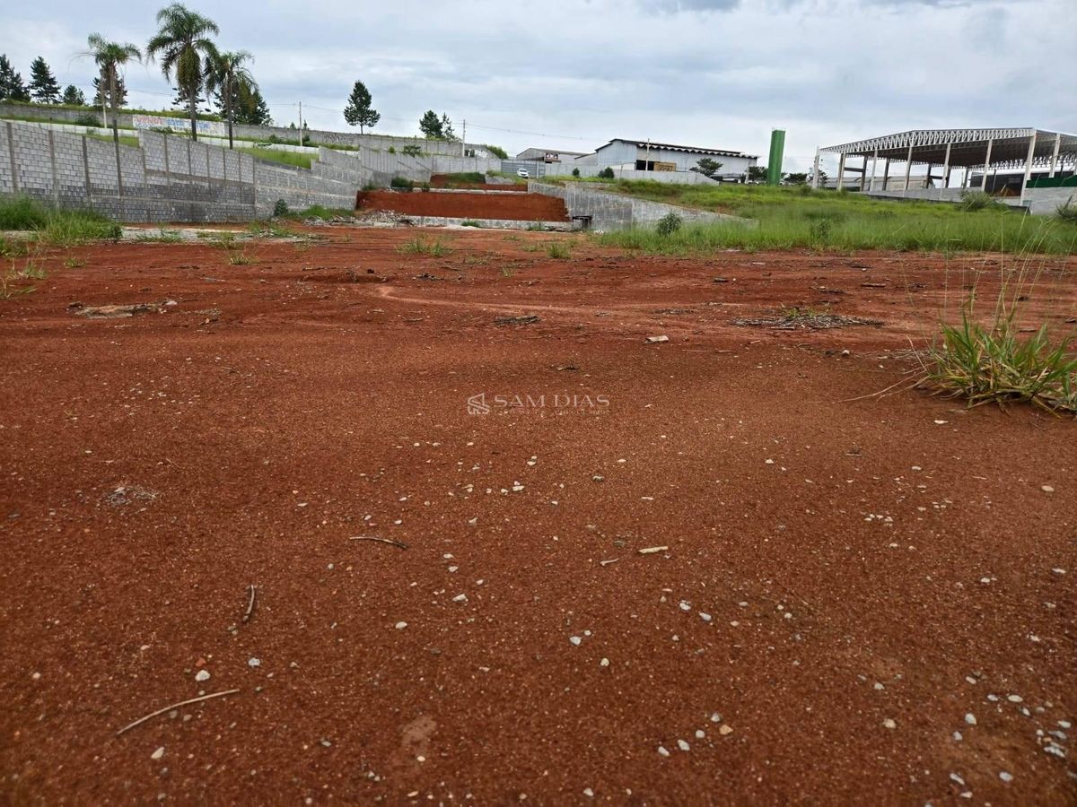 Terreno, 10000 m² - Foto 8