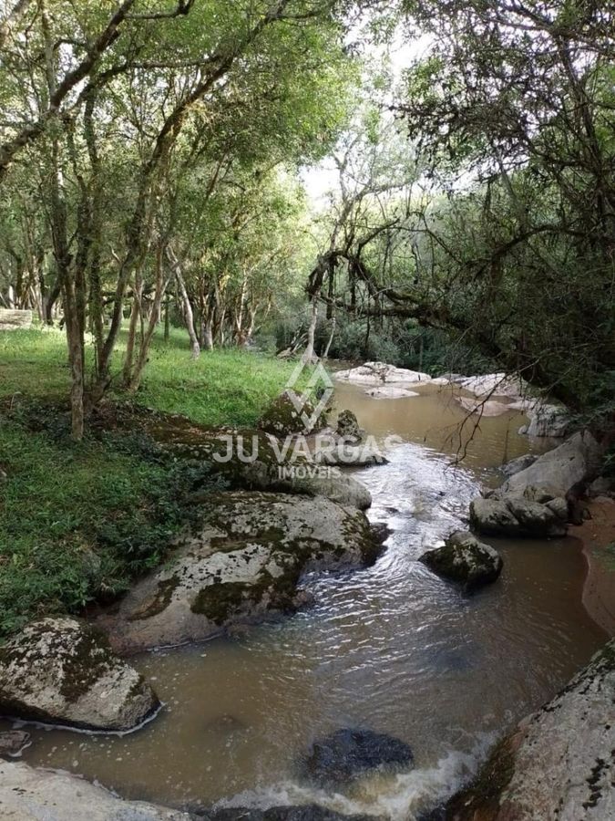 Sítio, 7 hectares - Foto 4