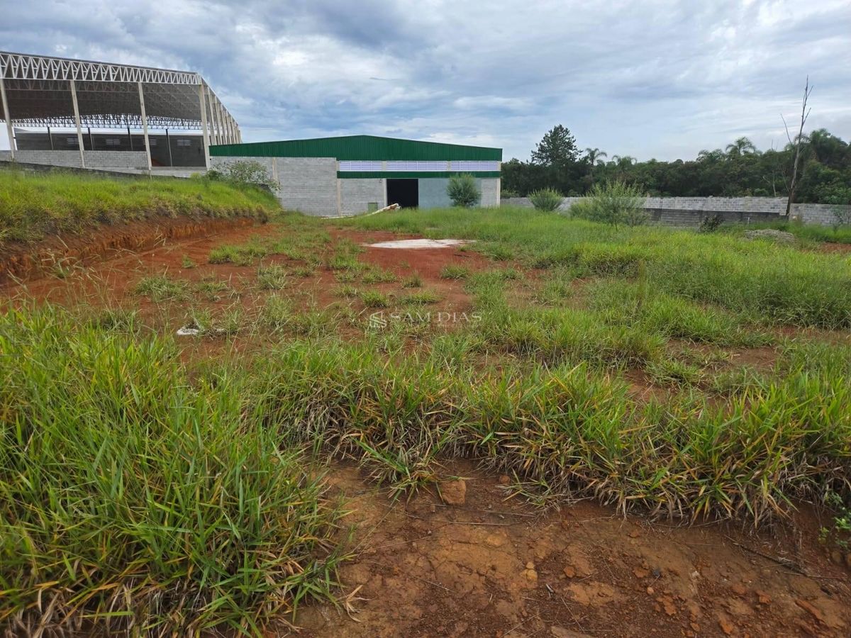 Terreno, 10000 m² - Foto 11