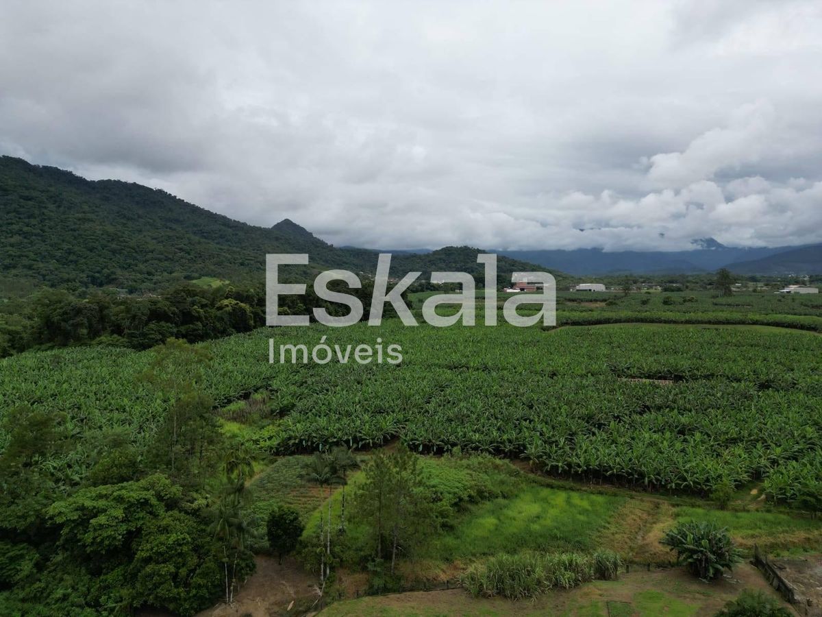 Terreno, 3 hectares - Foto 3