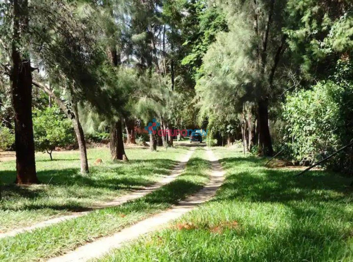 Sítio com 7 quartos à Venda, Francisco Pereira - Lagoa Santa