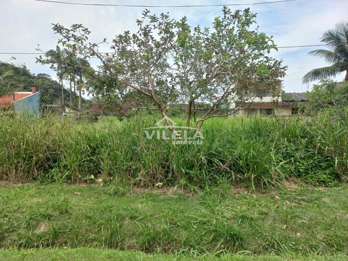Terreno verde mar