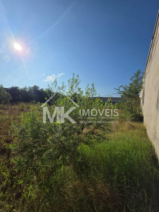 Terreno, 1631 m² - Foto 4