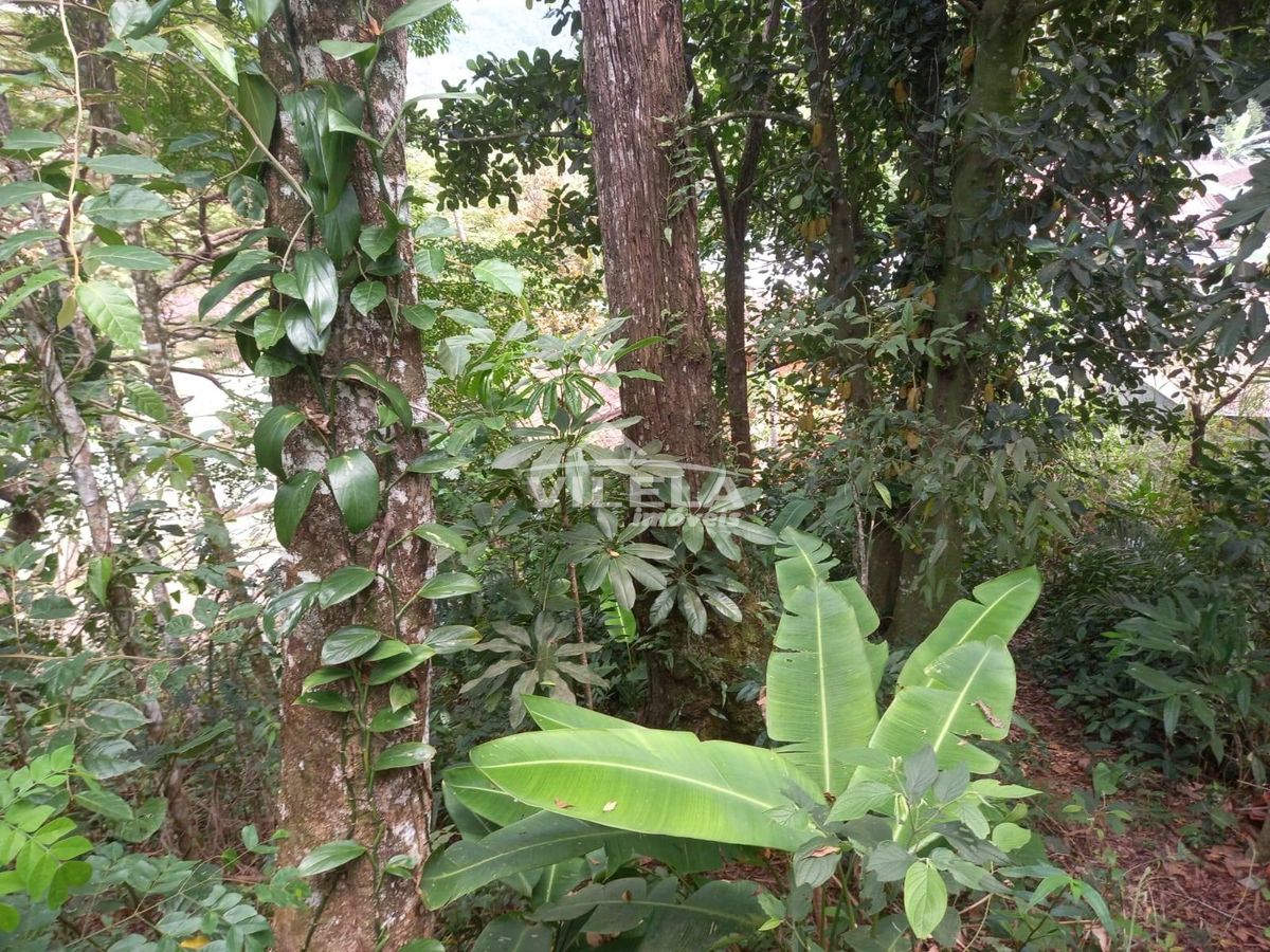 Terreno a poucos metros da praia - Massaguaçu.