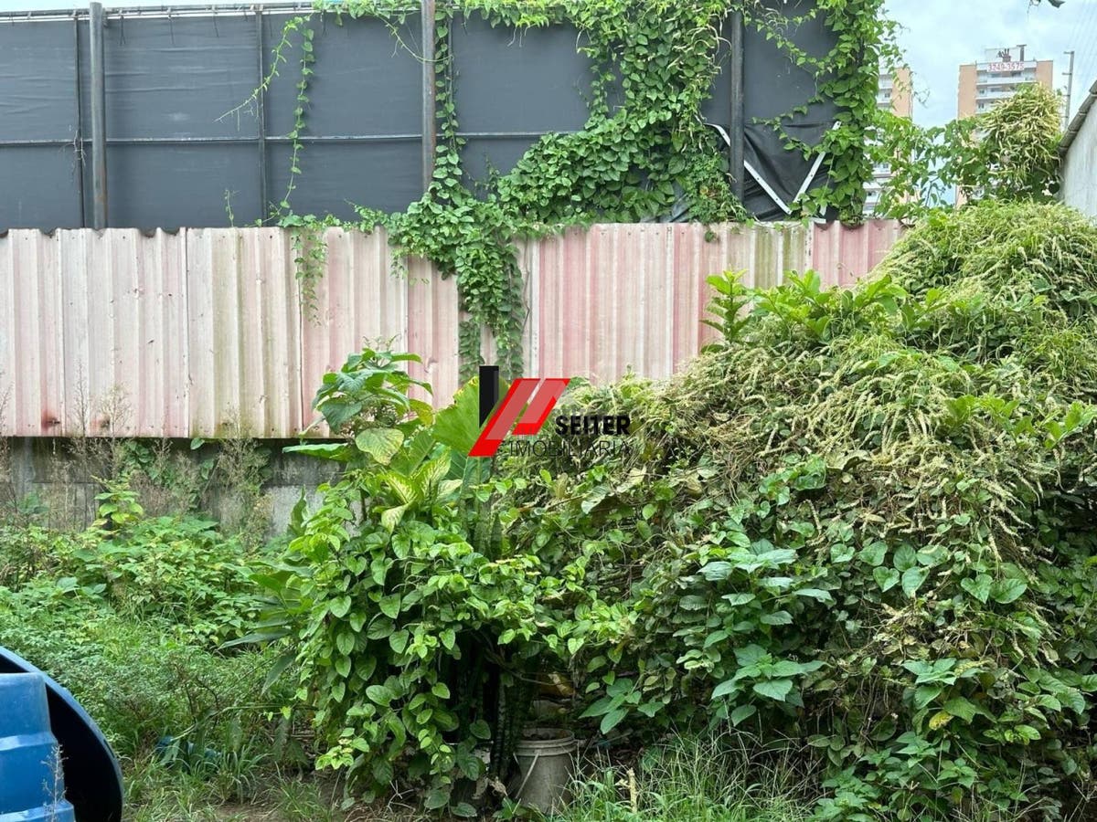 Terreno comercial à venda em São José no bairro Campinas com galpão construido e viabilidade predial - foto 10