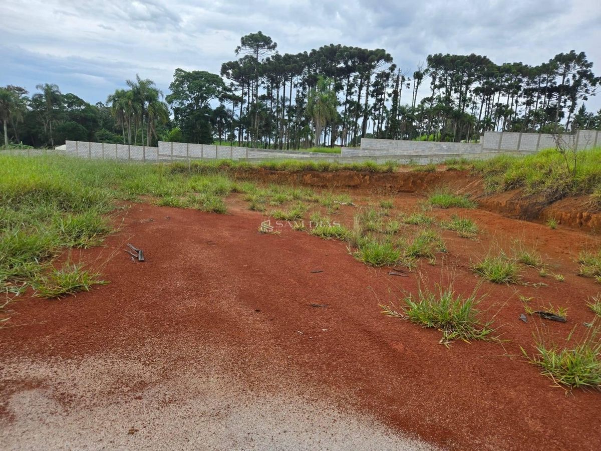 Terreno, 10000 m² - Foto 7