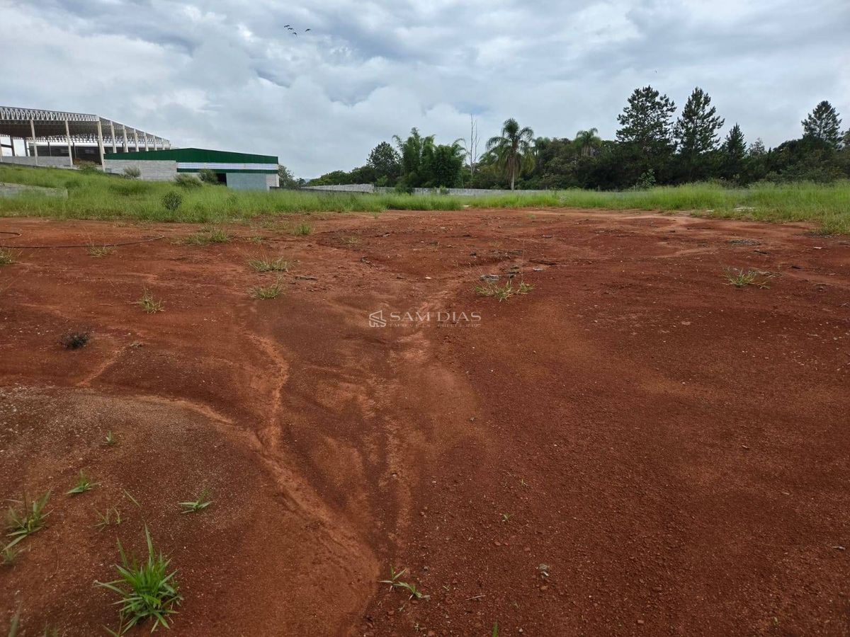 Terreno, 10000 m² - Foto 10