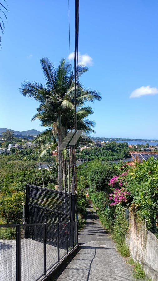 Casa a venda Canto da Lagoa Florianópolis