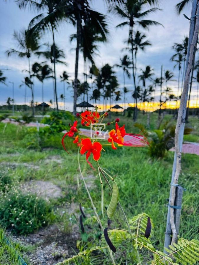 Lote/Terreno, Zona de Expansão (Robalo) - Aracaju