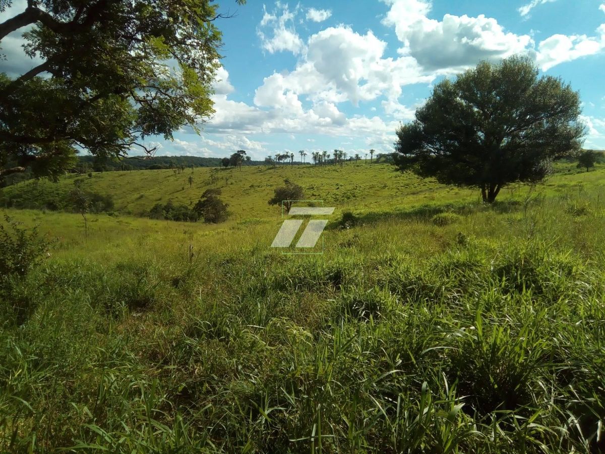 Sítio, 218 hectares - Foto 4