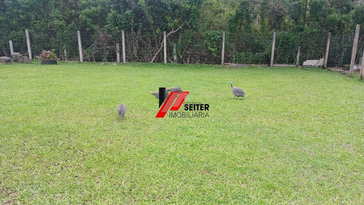 Sítio à venda no bairro Sambaqui em Florianópolis - foto 42