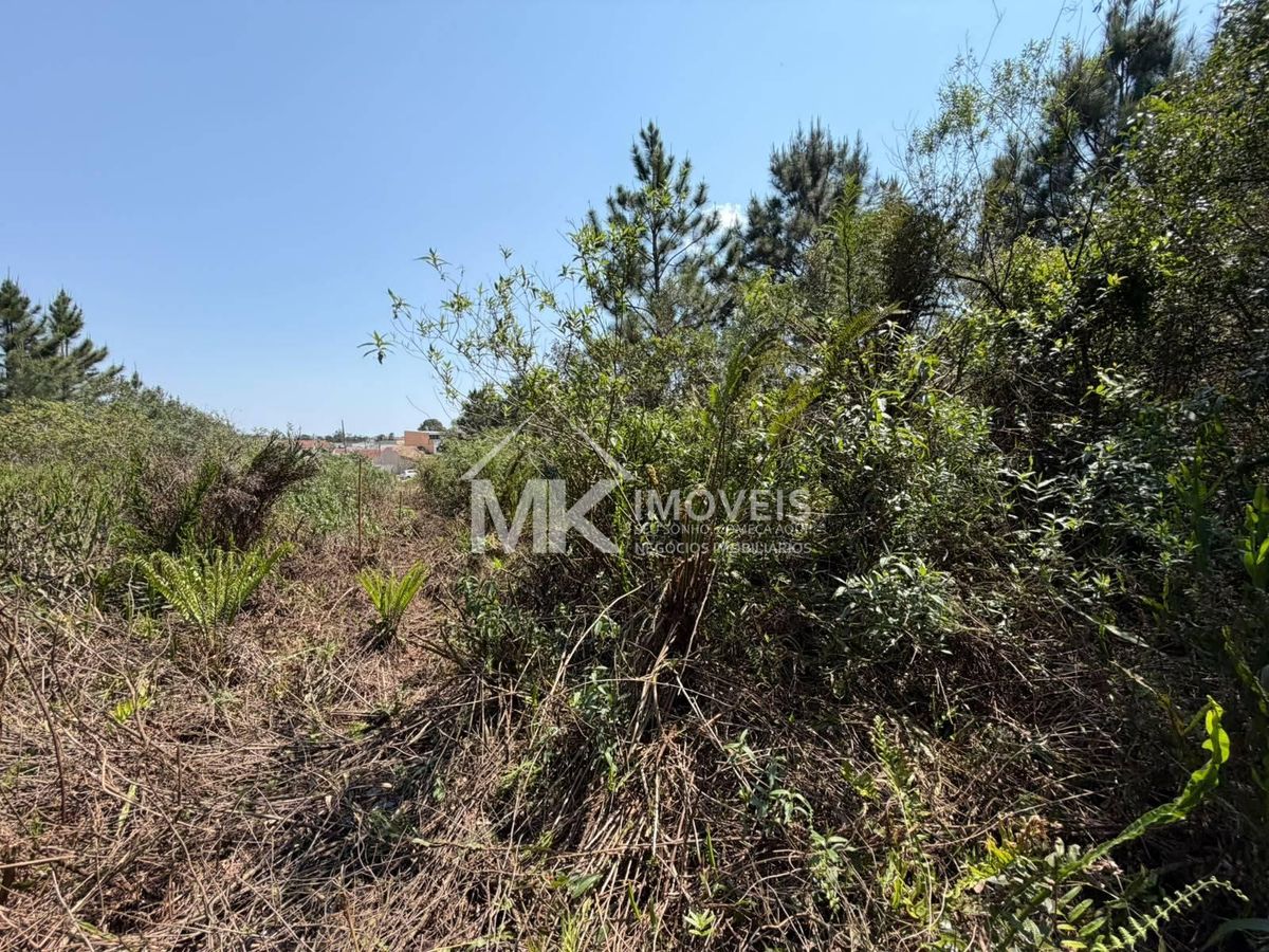 Terreno, 2 hectares - Foto 12