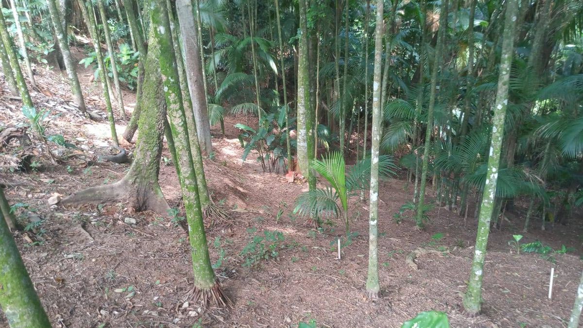 Casa com 3 Quartos com Terreno Amplo para Construção ao Lado