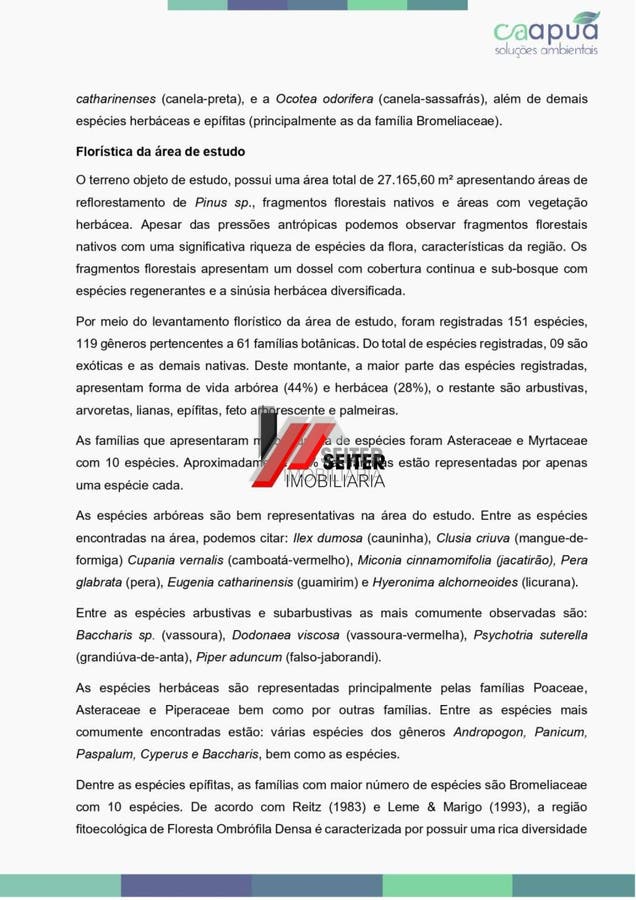 Terreno estratégico 27.886 m² em Santo Antônio de Lisboa, estudo técnico e potencial de regularização