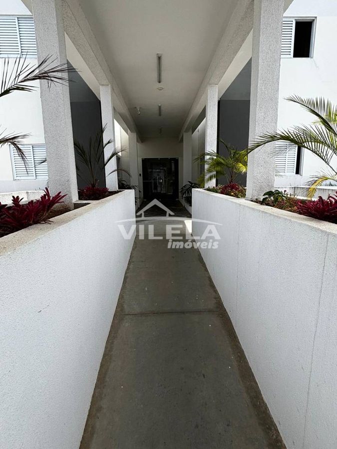Apartamento para venda morro do algodão