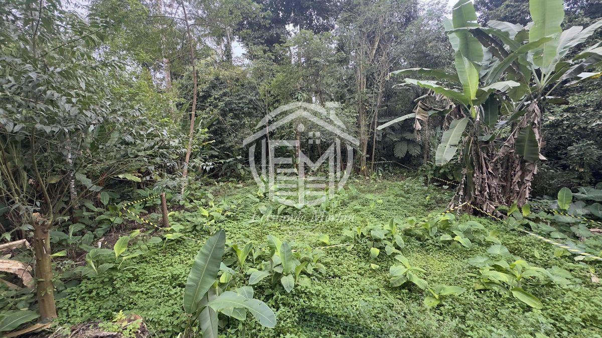 Oportunidade terreno em itamambuca já com licença  ambiental