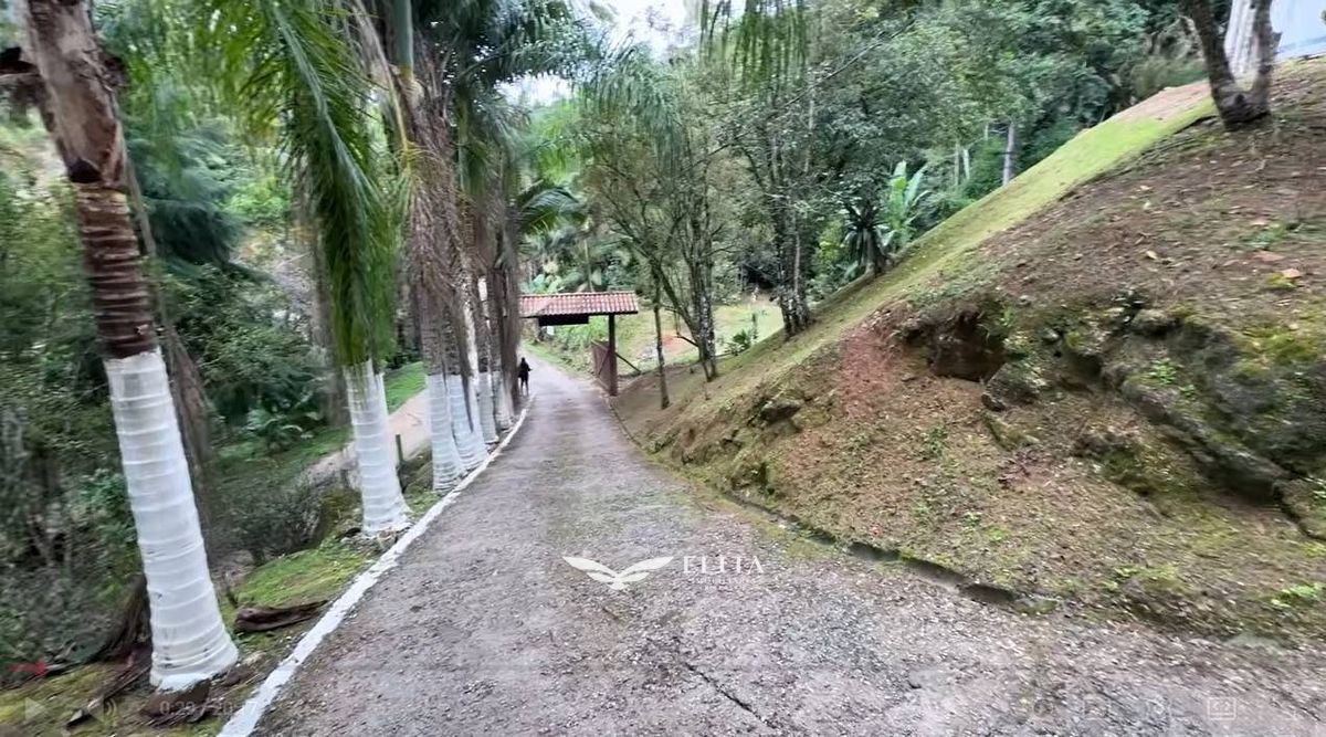 Terreno, 8 hectares - Foto 3