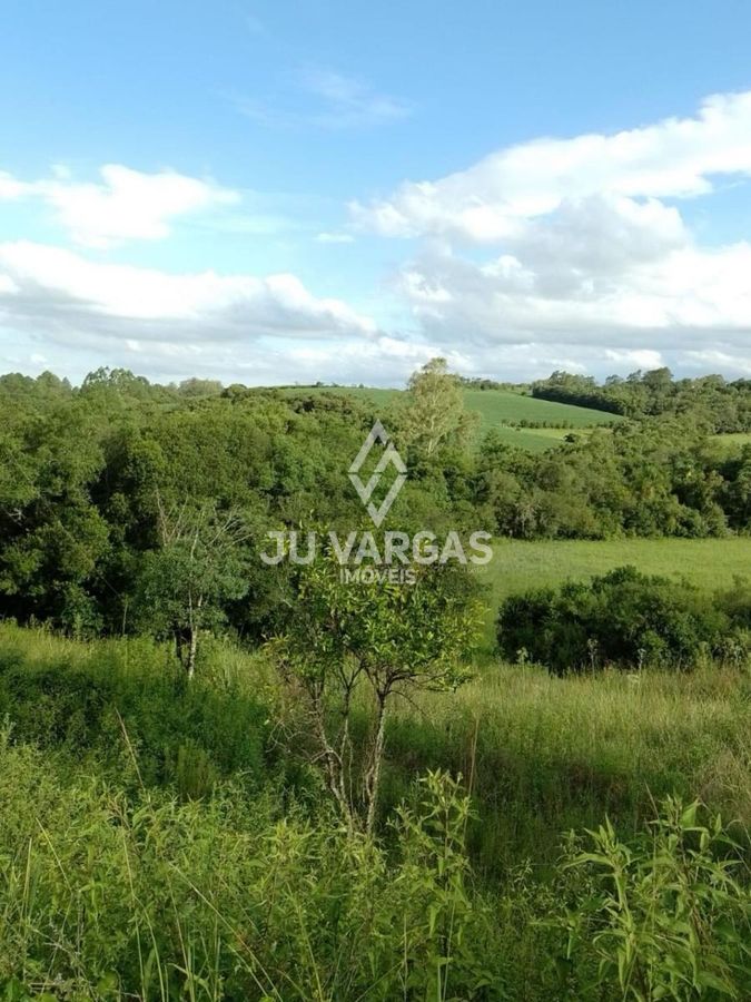 Sítio, 7 hectares - Foto 8