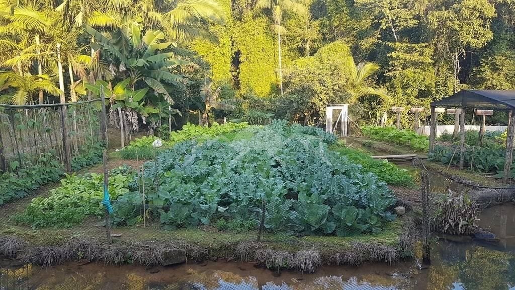 Sítio, 18 hectares - Foto 12