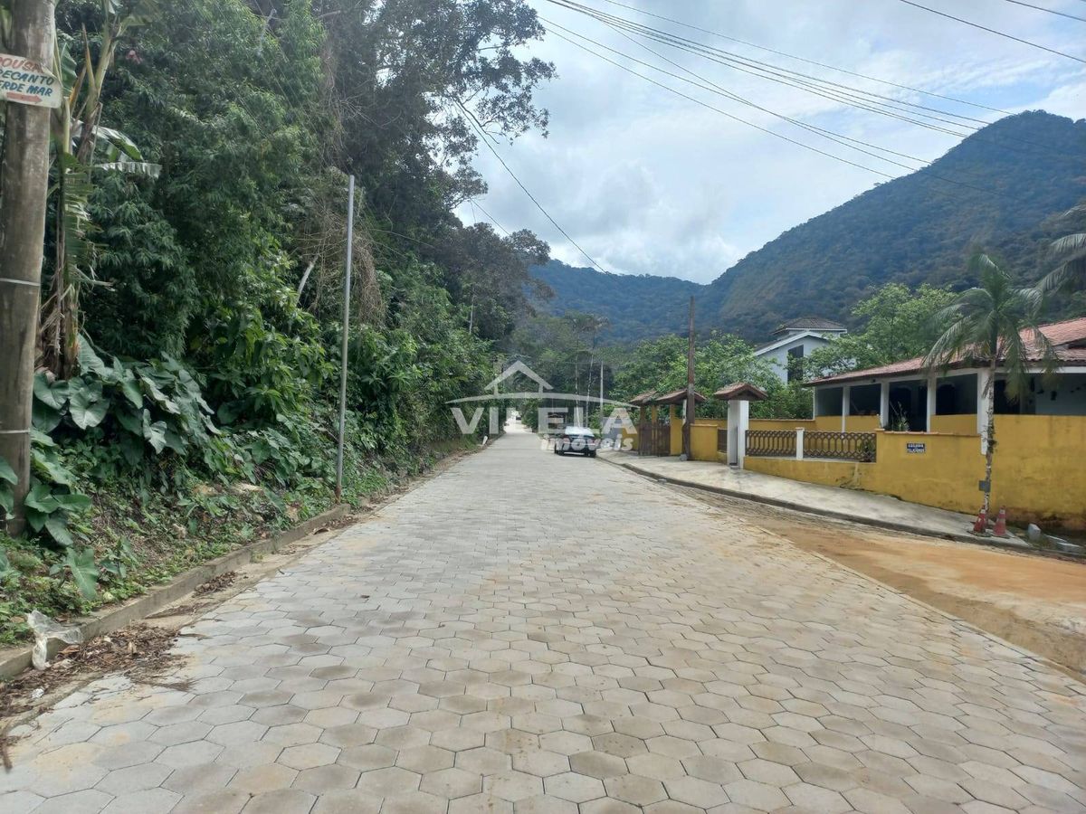 Terreno verde mar