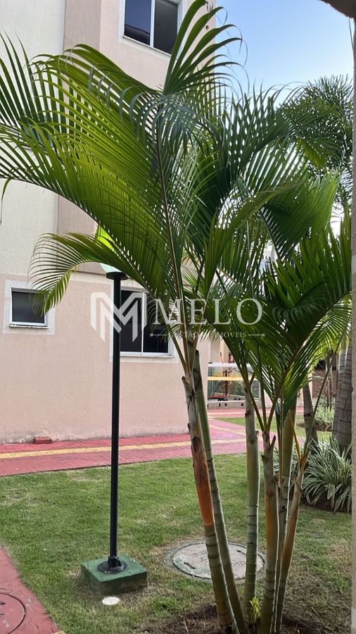 Apartamento, 2 quartos, 44 m² - Foto 6