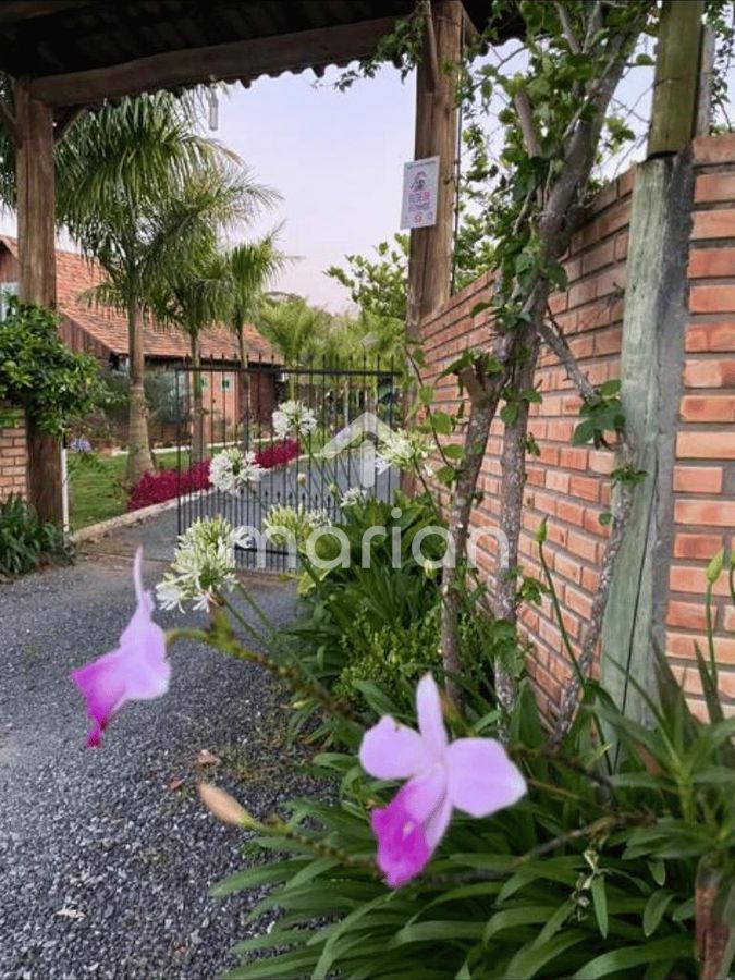 Sítio, 2 quartos, 3000 m² - Foto 24